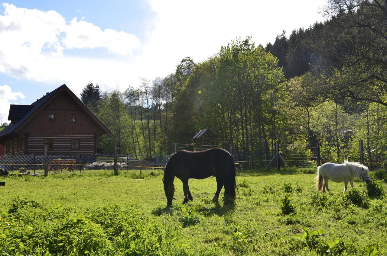 Apartmany U Vlcich Jam Petrowitz エクステリア 写真