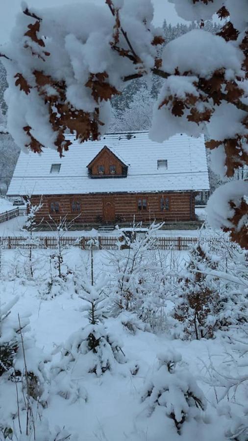Apartmany U Vlcich Jam Petrowitz エクステリア 写真