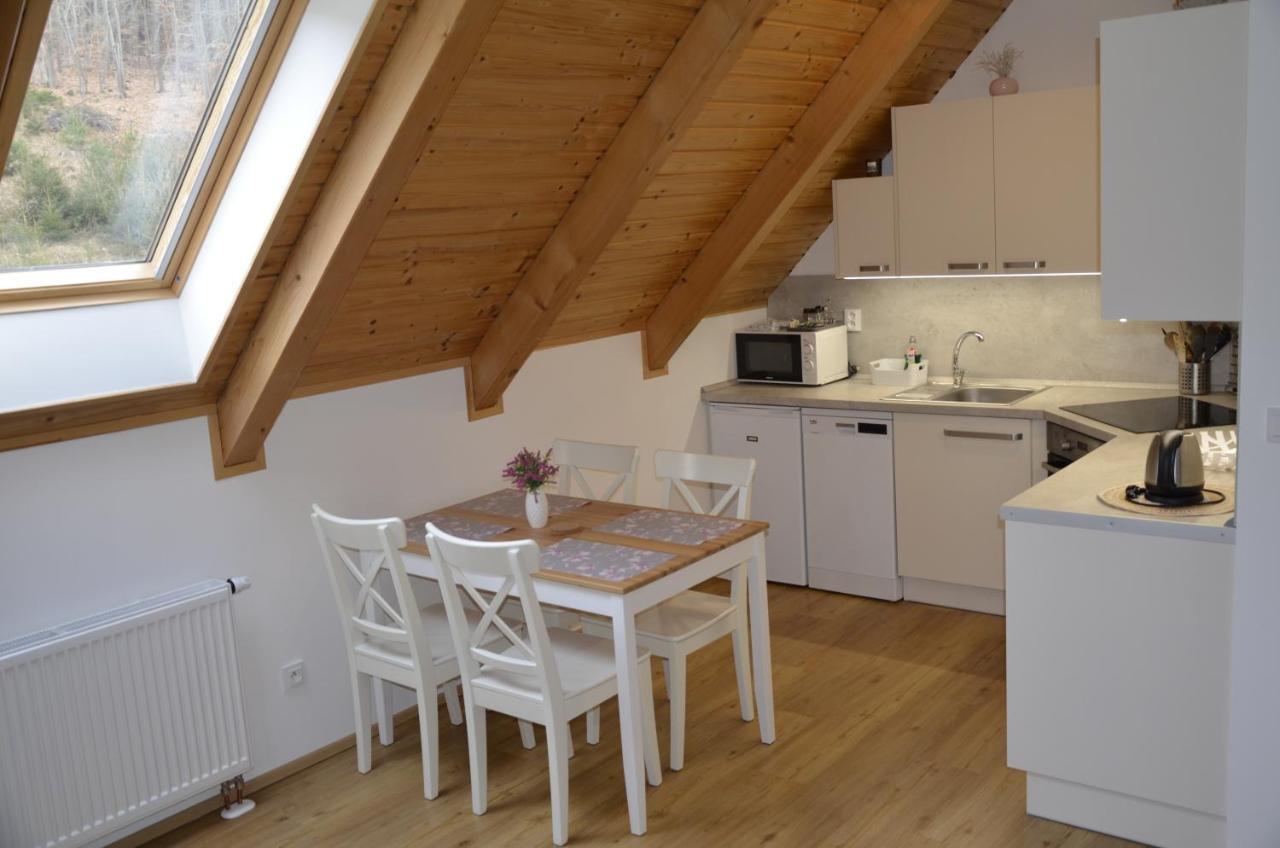 Apartmany U Vlcich Jam Petrowitz エクステリア 写真
