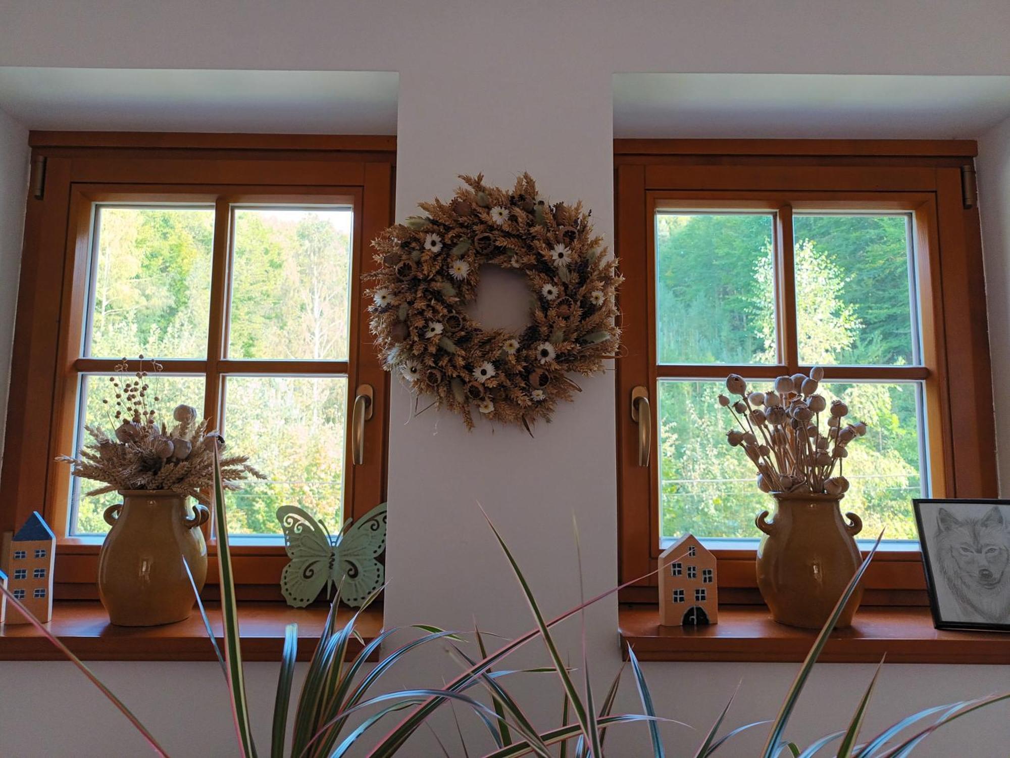 Apartmany U Vlcich Jam Petrowitz エクステリア 写真
