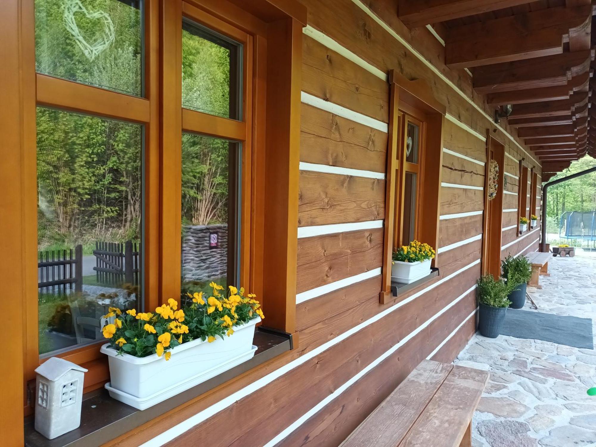 Apartmany U Vlcich Jam Petrowitz エクステリア 写真